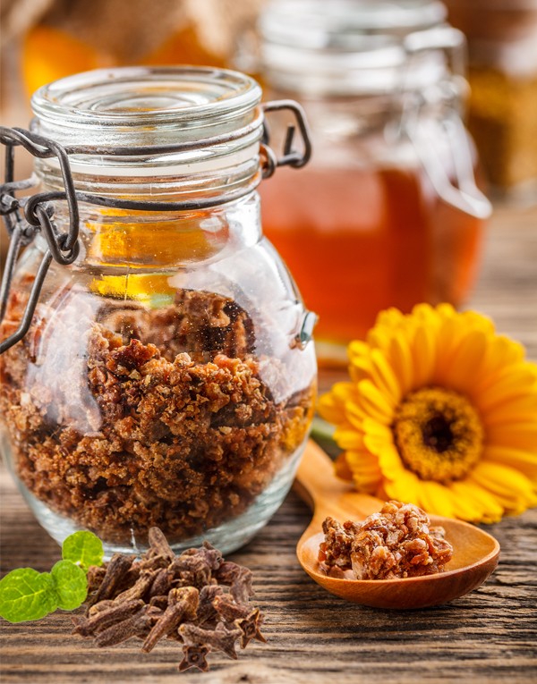 Propolis + clou de girofle